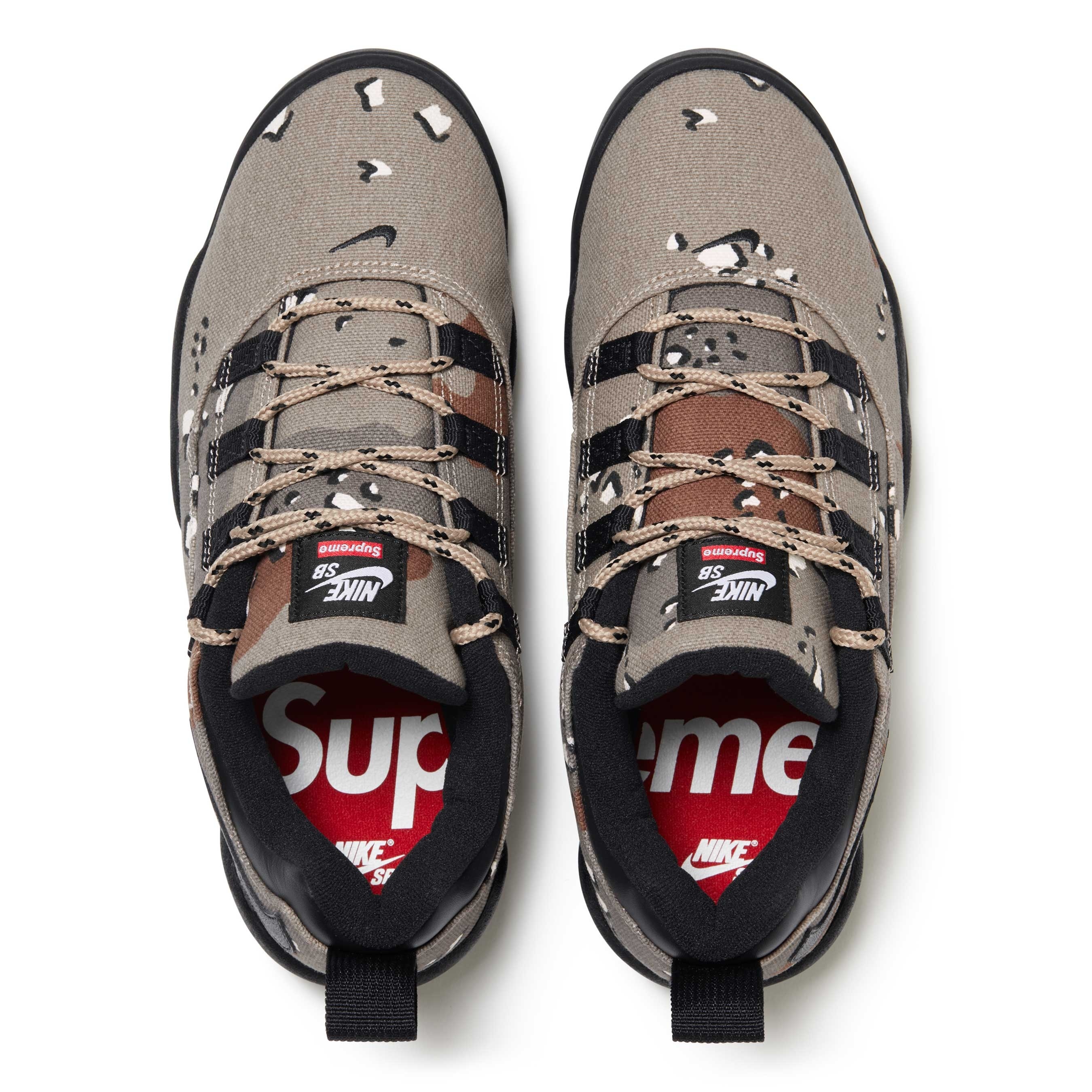 Supreme®/Nike SB Darwin Low view 11
